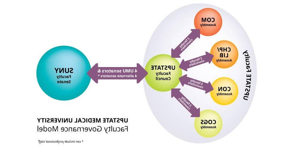 Faculty governance model