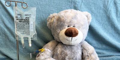 Beary with an IV