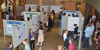 Biomedical Sciences students and guests discussing poster submissions